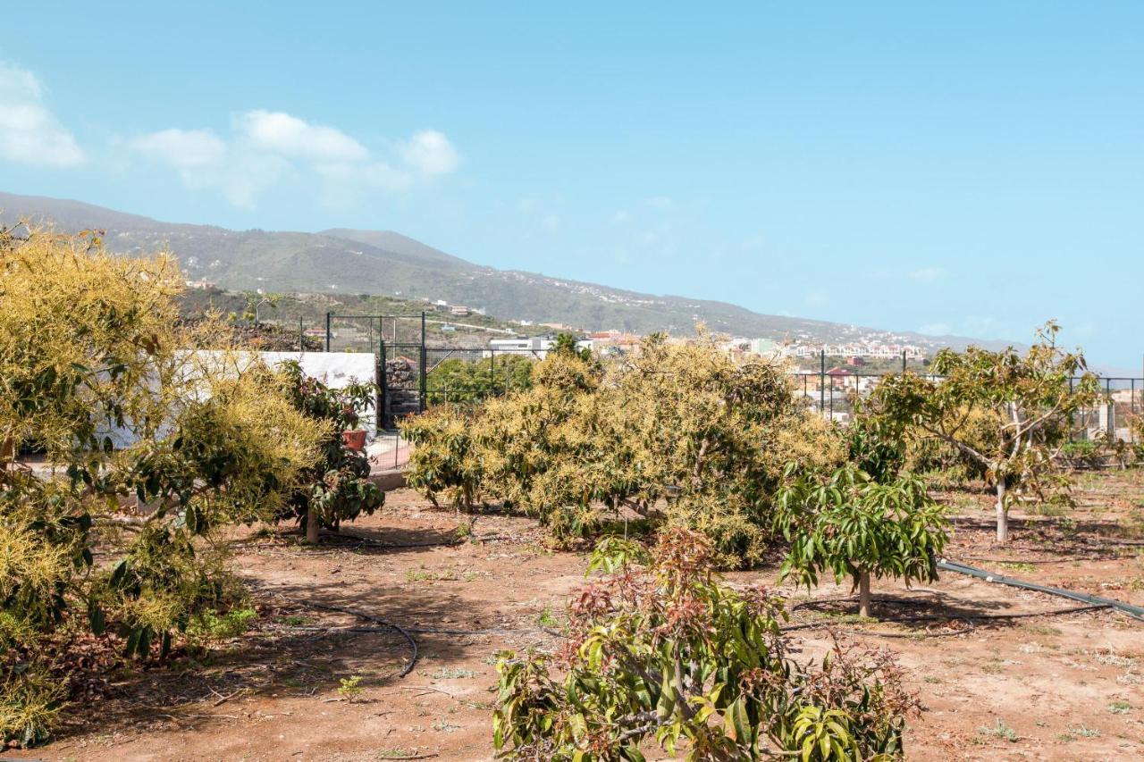Vila Casa Quemahierro 2 Icod De Los Vinos Exteriér fotografie